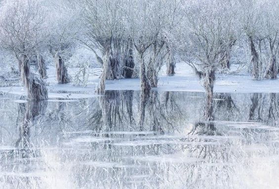 Lake of ice - esposizione fotografica