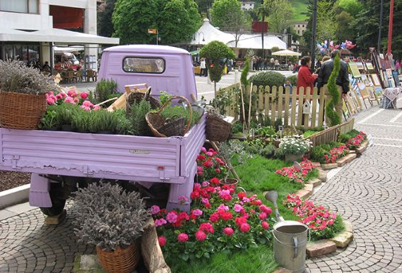 La città e il fiore