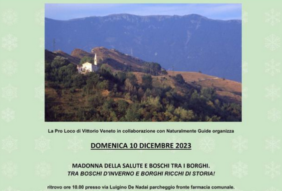 Boschi a Natale