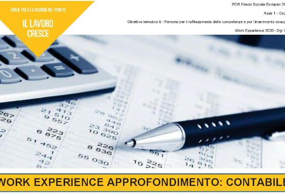 Work Experience di Approfondimento per contabile