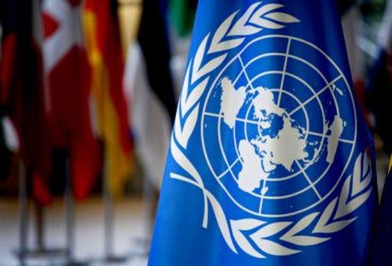 UN|DESA Fellowships Programme