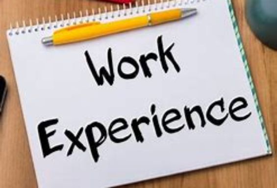 WORK EXPERIENCE under 30