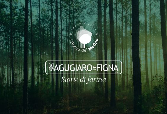 Bando per l'assegnazione di un premio di Tesi di laurea